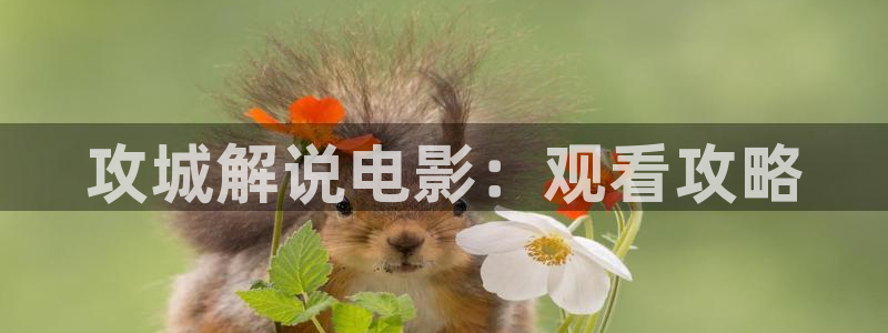 久久视频精品在线